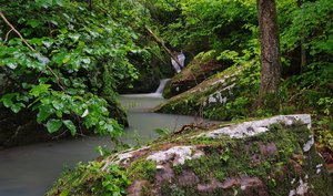 Wolf Creek Cave Falls