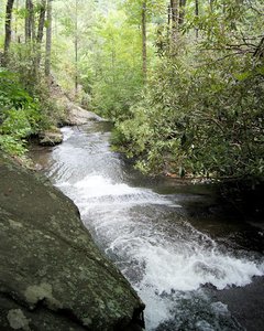 Leatherwood Falls