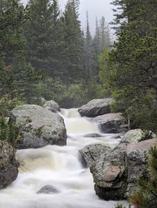 Copeland Falls Trail