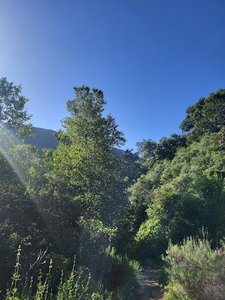 Gould Mesa trailhead