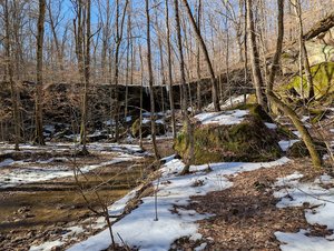 Yellow Birch Ravine Falls