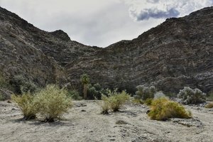 Magnesia Spring Ecological Reserve