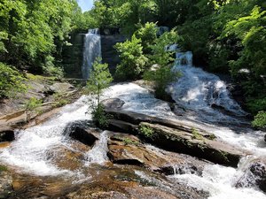 Reedy Cove Falls