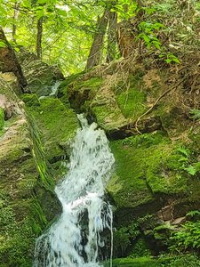 Little Trap Falls
