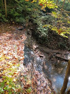 Kokiwanee Nature Preserve Trailhead