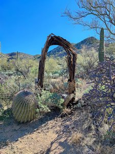 Agua Caliente Hill South Trailhead