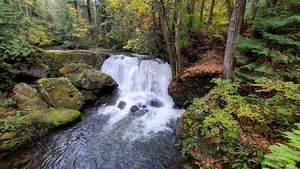 Whatcom Falls