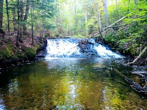 Cole Creek Falls