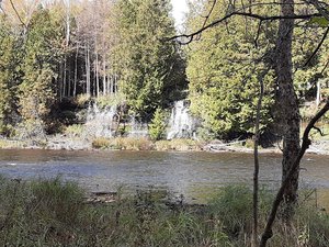 Rose Falls