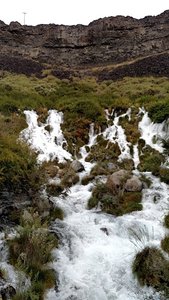 Niagara Springs