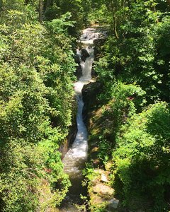 The Narrows Falls