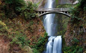 Mount Hood National Forest