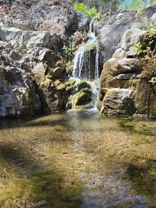 Tangerine Falls Trail Head