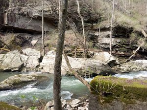 Pocket Wilderness