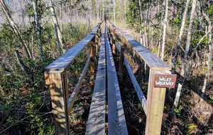 Flagler Trail Trailhead