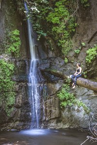 Maple Falls