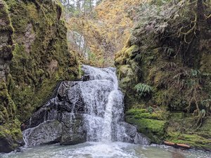 Wolf Creek Falls Trail