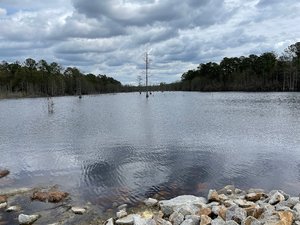 Jessups Pond