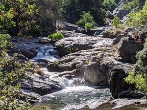 Paradise Creek Trailhead