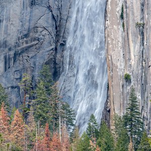Ribbon Fall