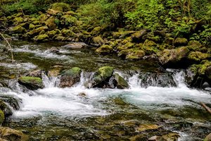 Tanner Creek Falls