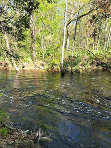 Falling Creek