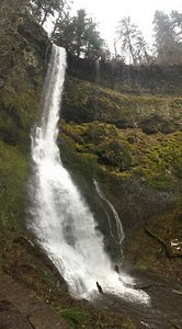 Winter Falls