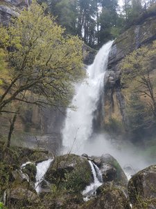 Golden Falls
