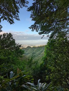 Pauoa Flats Trail