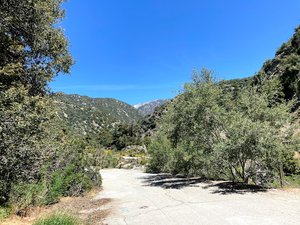 Stoddard Falls trailhead