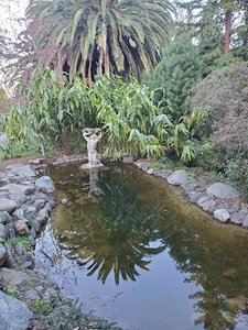 Villa Montalvo Lookout Point