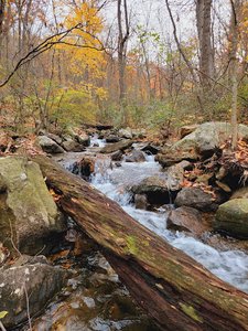 Mountain Run Swimming Hole
