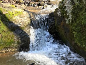 Appalachian Trail Access Morgans Mill Rd
