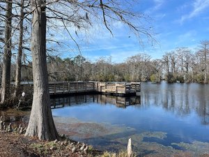 Brock Mill Pond