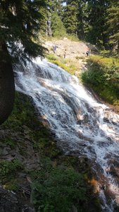 Umbrella Falls Trail #667 Trailhead