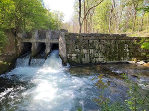 Charlie C. Major Nature Trail