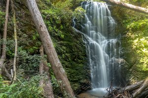 Berry Creek Falls