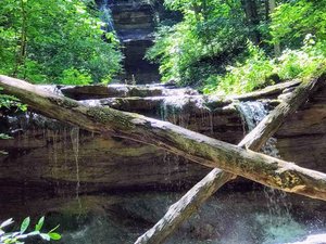 Tioga Creek