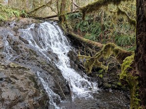 Mima Falls