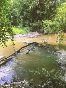 Waterfall Loop Trail