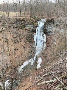 Oak Tree Falls