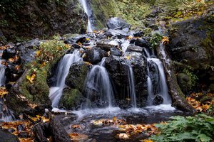 Starvation Creek Falls
