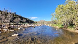 Sycamore Creek