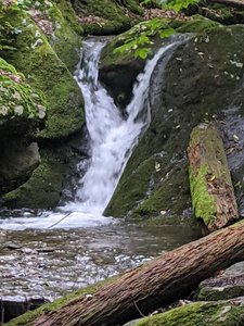 Lulu Cascade