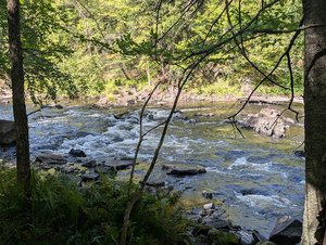 Bull Falls of the Pine River