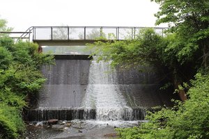 Fox Mill Daretown Lake