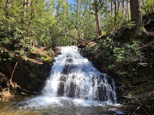 Martin’s Creek Falls