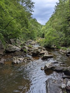 Bottom Creek Gorge Preserve