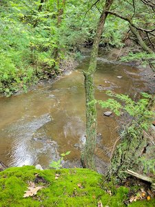 Swatling Falls Nature Trails