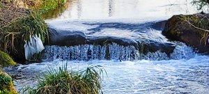 Pine Creek